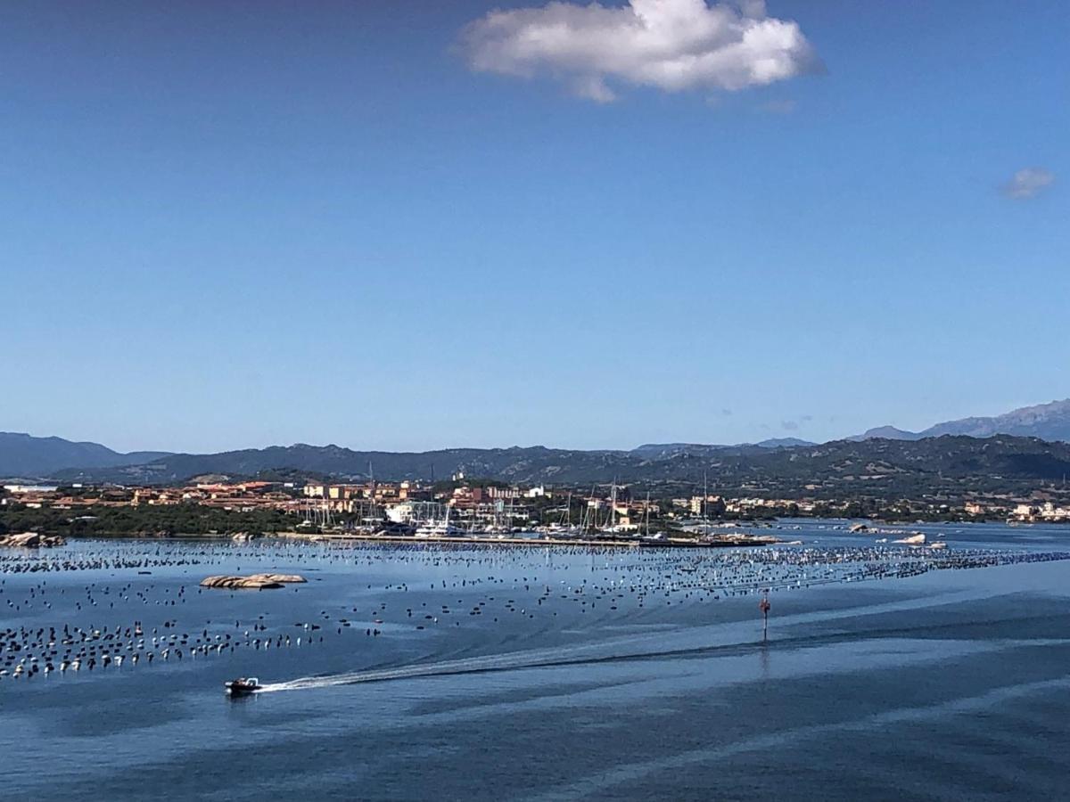 Apartment Marina Butterfly Olbia